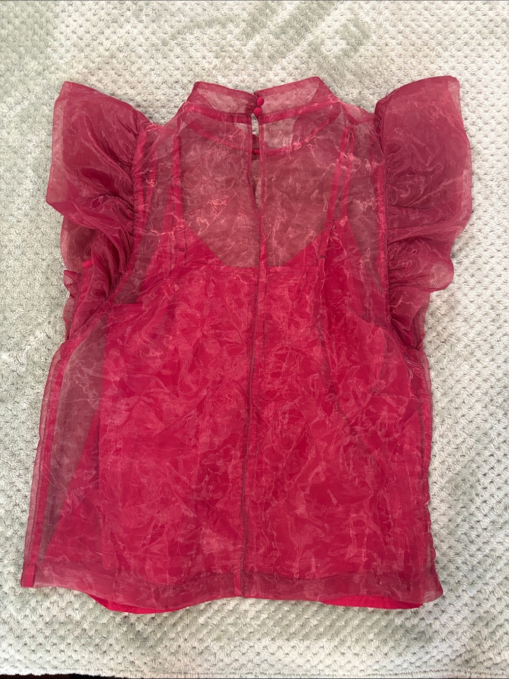 TCEC Sheer Ruffle Top - Picture 3 of 3